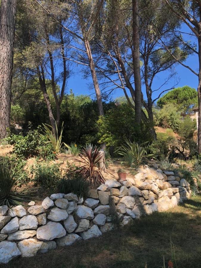 B&B Oasis Des Lavandes - Chambre Coqueliot Villeneuve-lès-Avignon Kültér fotó
