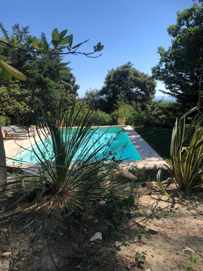 B&B Oasis Des Lavandes - Chambre Coqueliot Villeneuve-lès-Avignon Kültér fotó